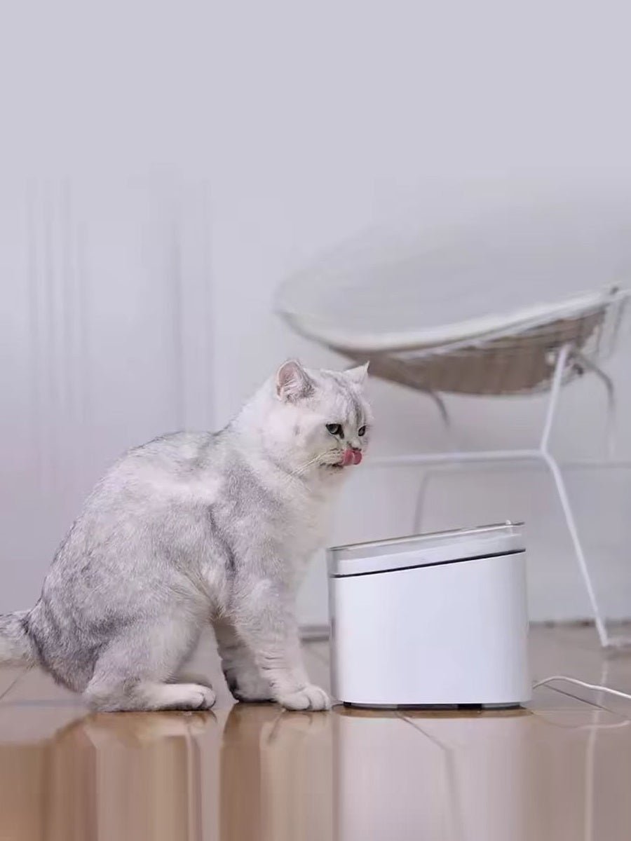 Xiaomi Kitten Puppy Pet Water Dispenser 2l Electric Pet Fountain Automatic Smart feed cats Dog Drinking Bowl Small Pet Product - ARRA SPORT